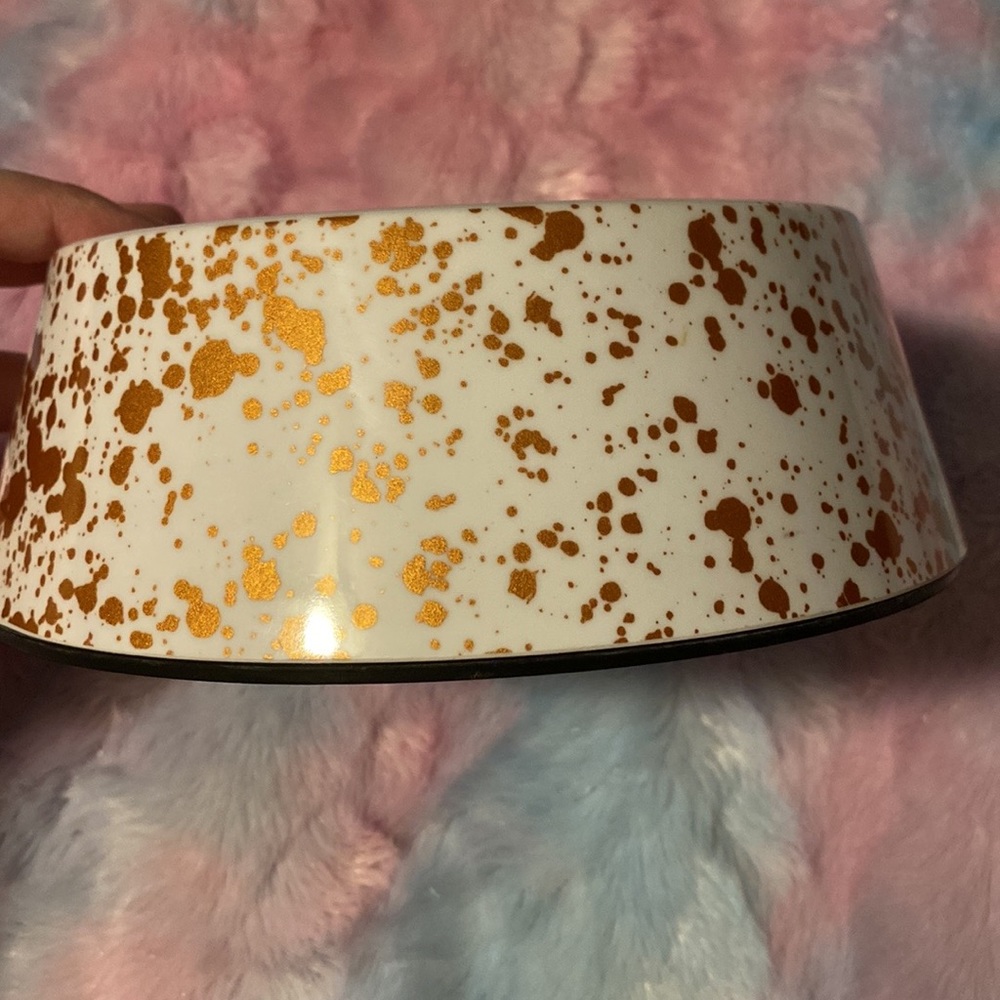 Top Paw Dog Bowl